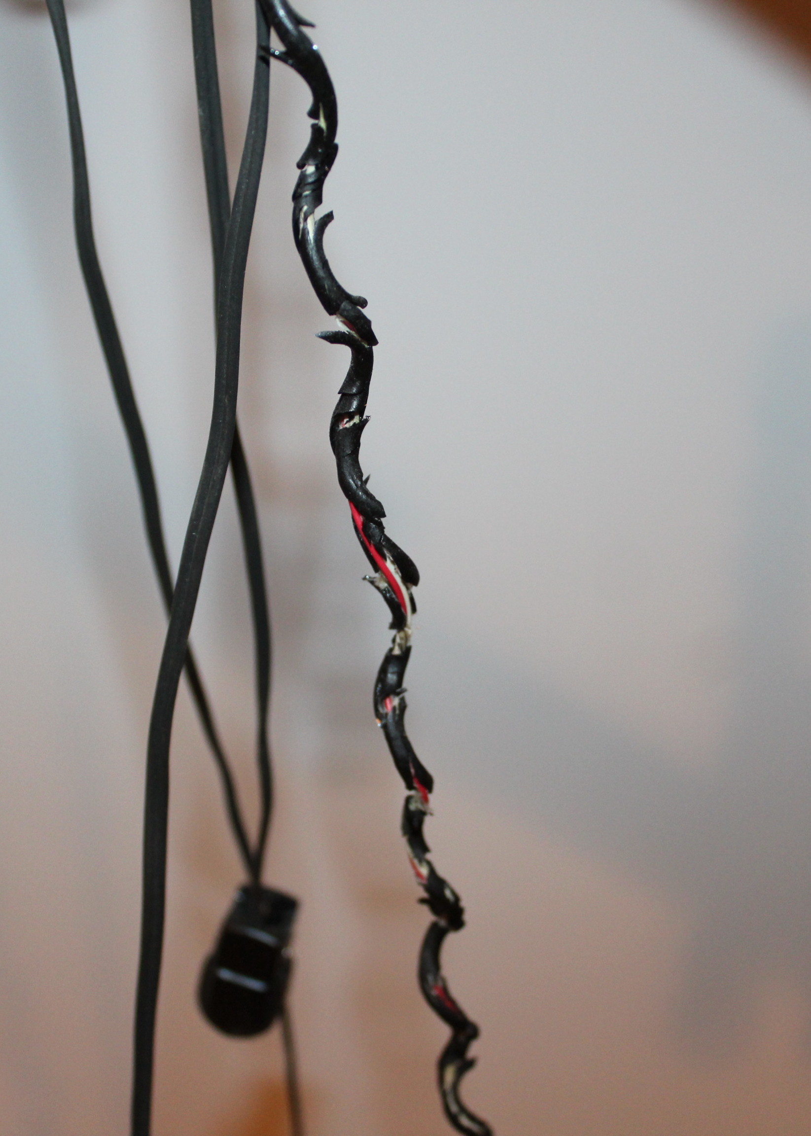 Vintage Exercise Equipment