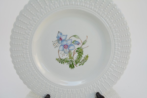 Eight Royal Cauldon "Norbury" Bristol Ironstone Plates