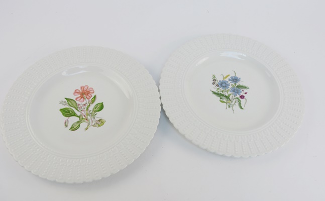 Eight Royal Cauldon "Norbury" Bristol Ironstone Plates