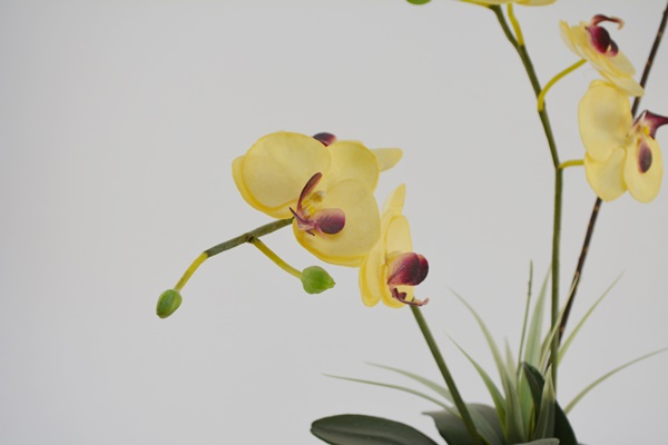 Faux Orchid and Ceramic Bird Pot