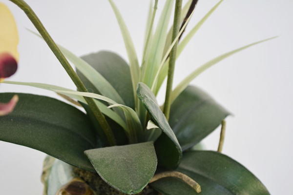 Faux Orchid and Ceramic Bird Pot