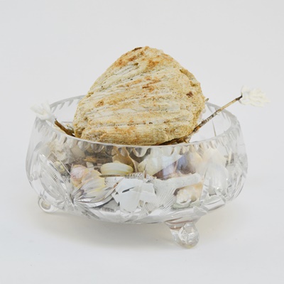 Crystal Bowl With Seashell Collection