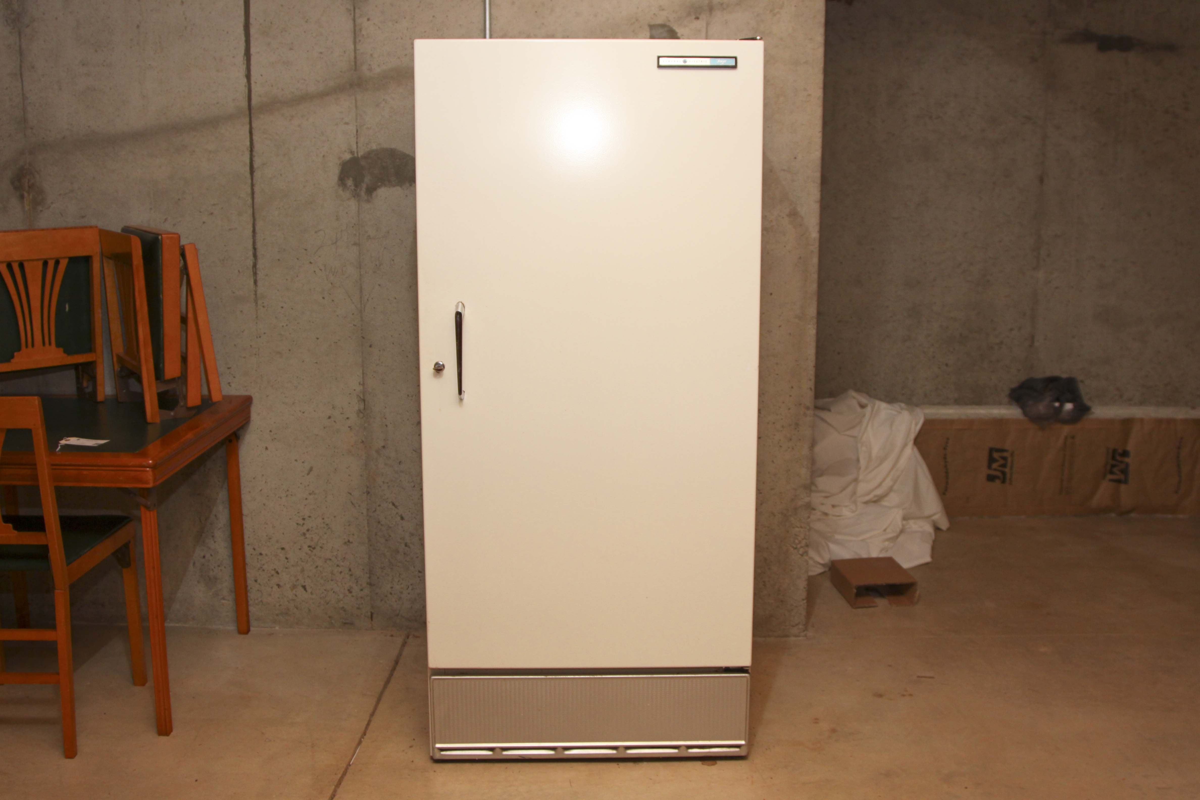 General Electric Free-Standing Freezer