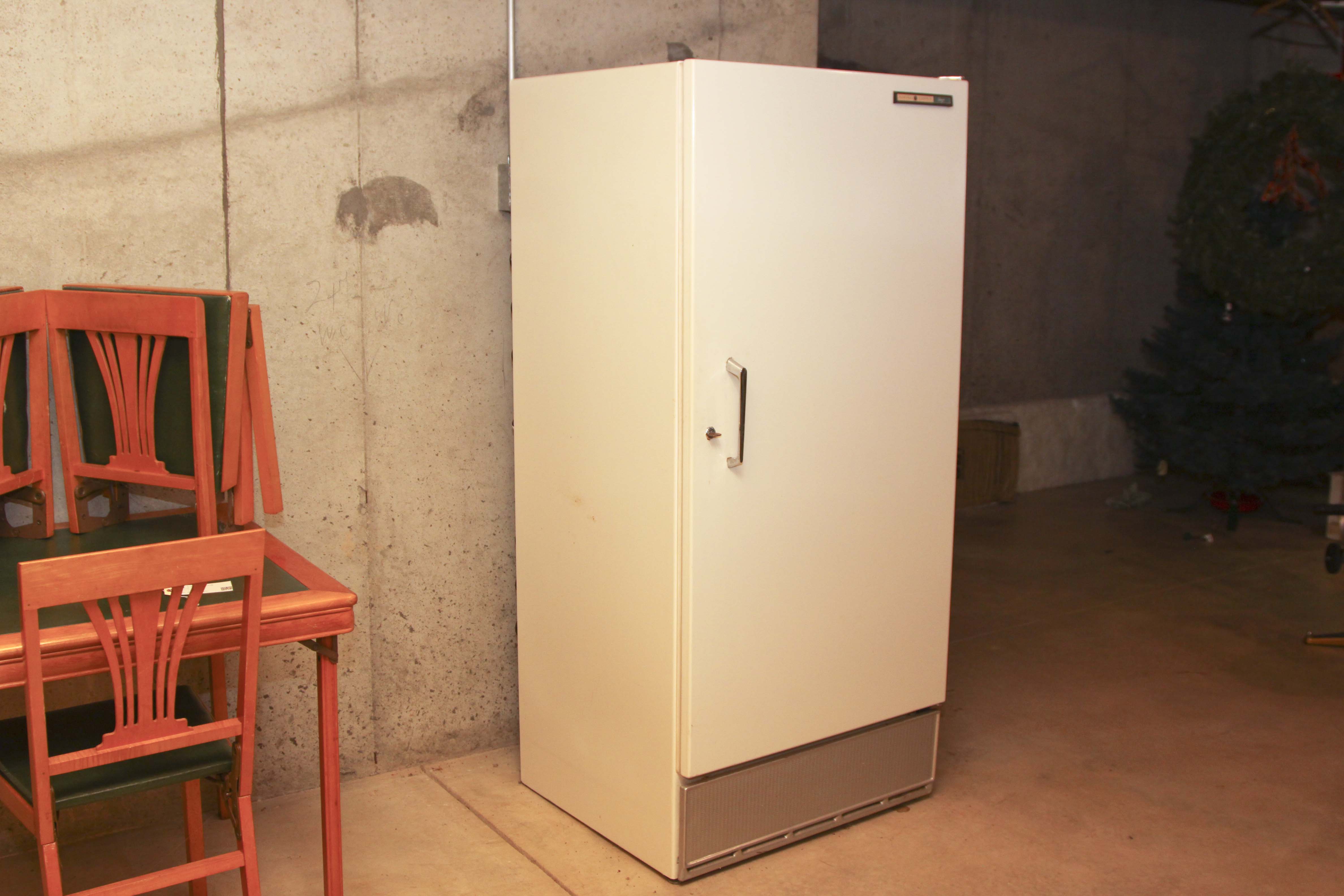General Electric Free-Standing Freezer