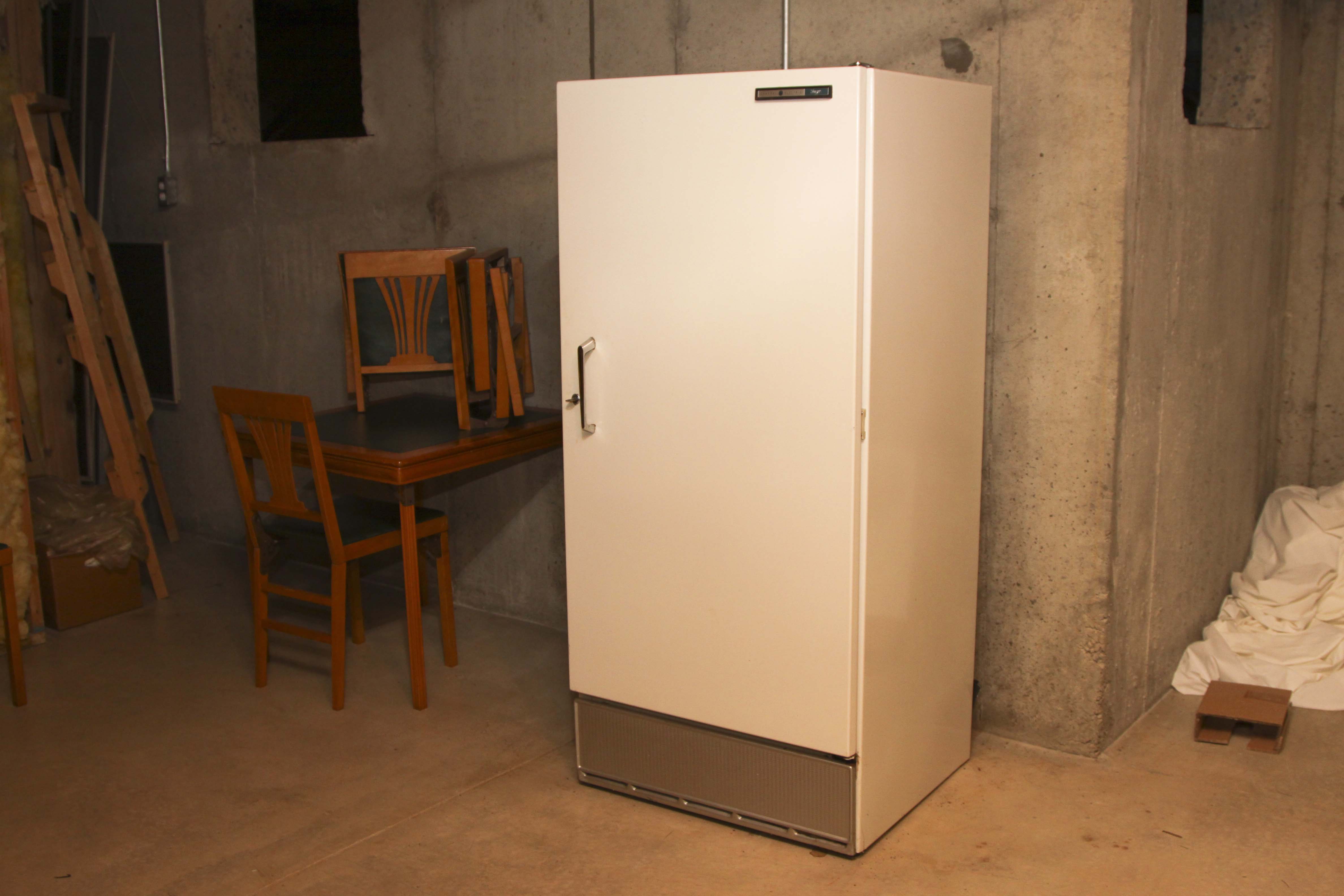 General Electric Free-Standing Freezer