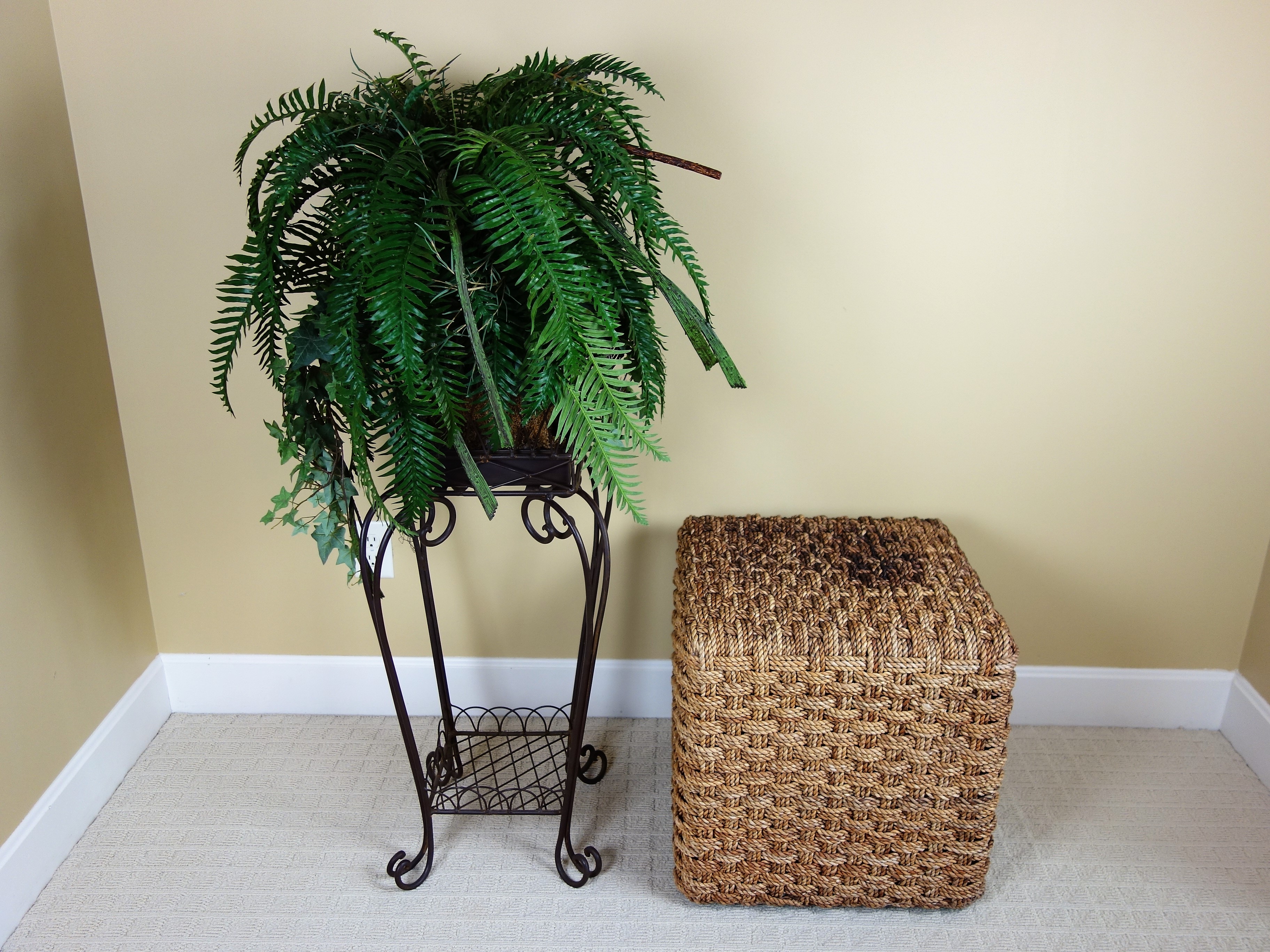 Schnadig Basket Weave Cube Table And Retus Ficus Plant