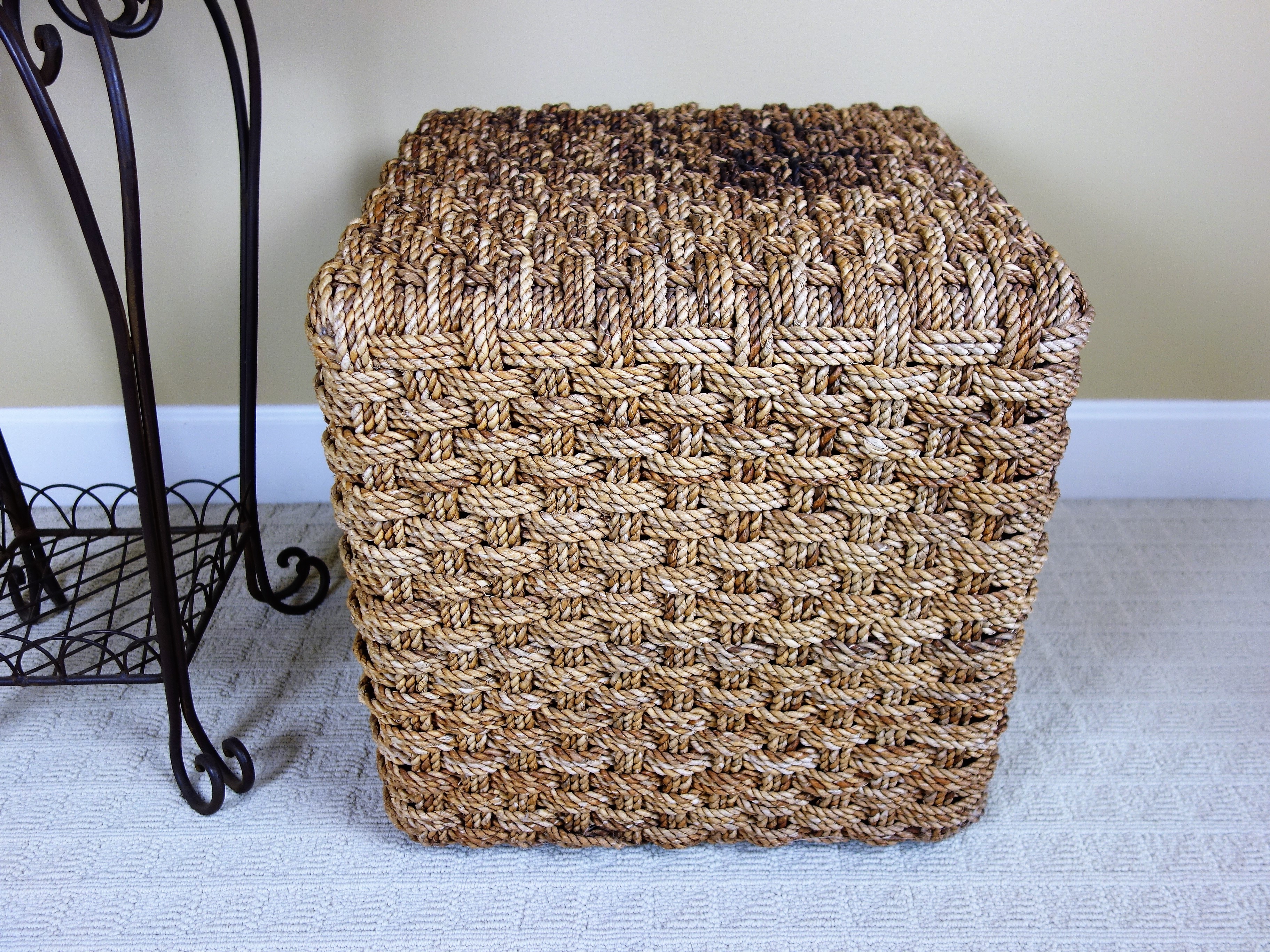 Schnadig Basket Weave Cube Table And Retus Ficus Plant