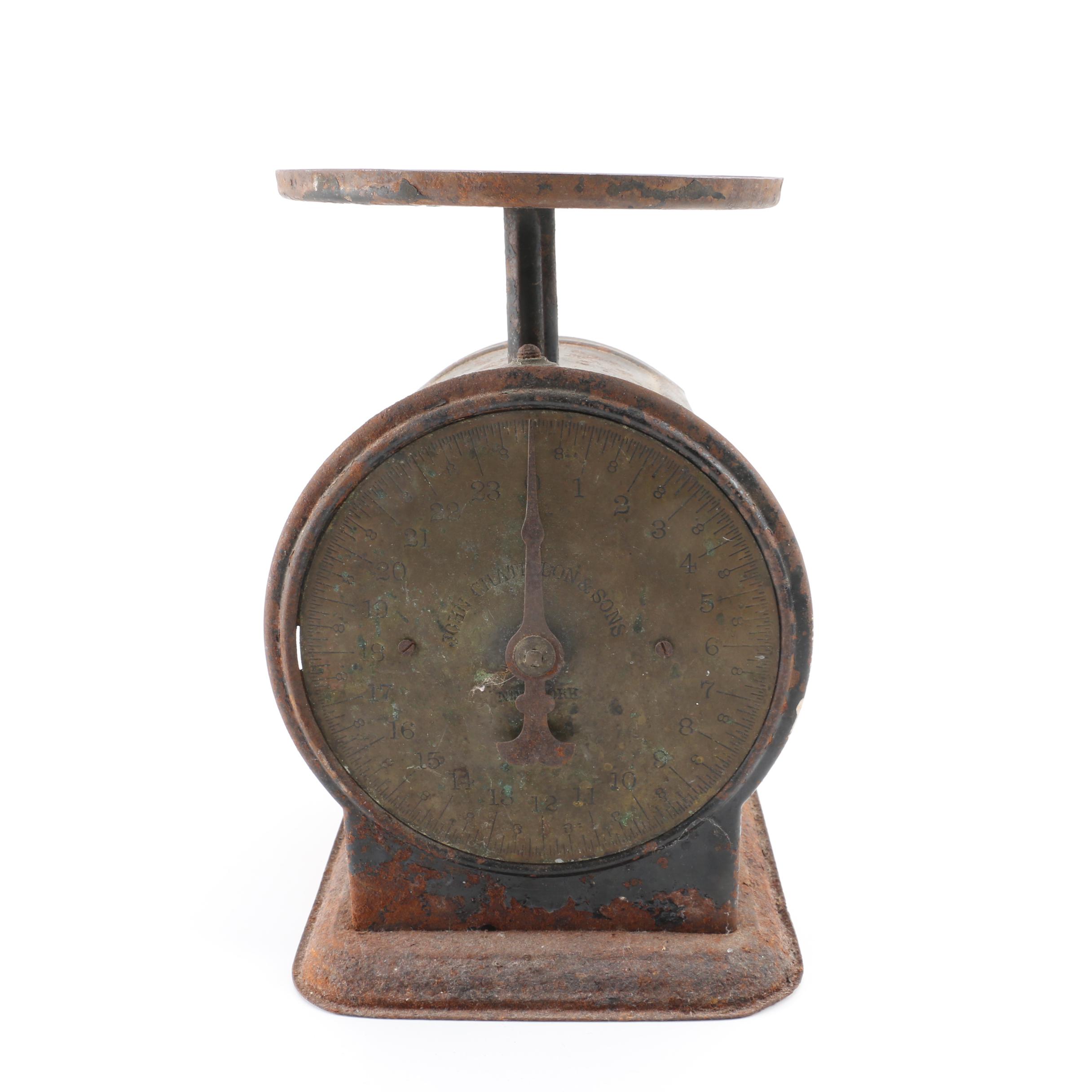 Antique "The New Favorite Family Scale" Scale