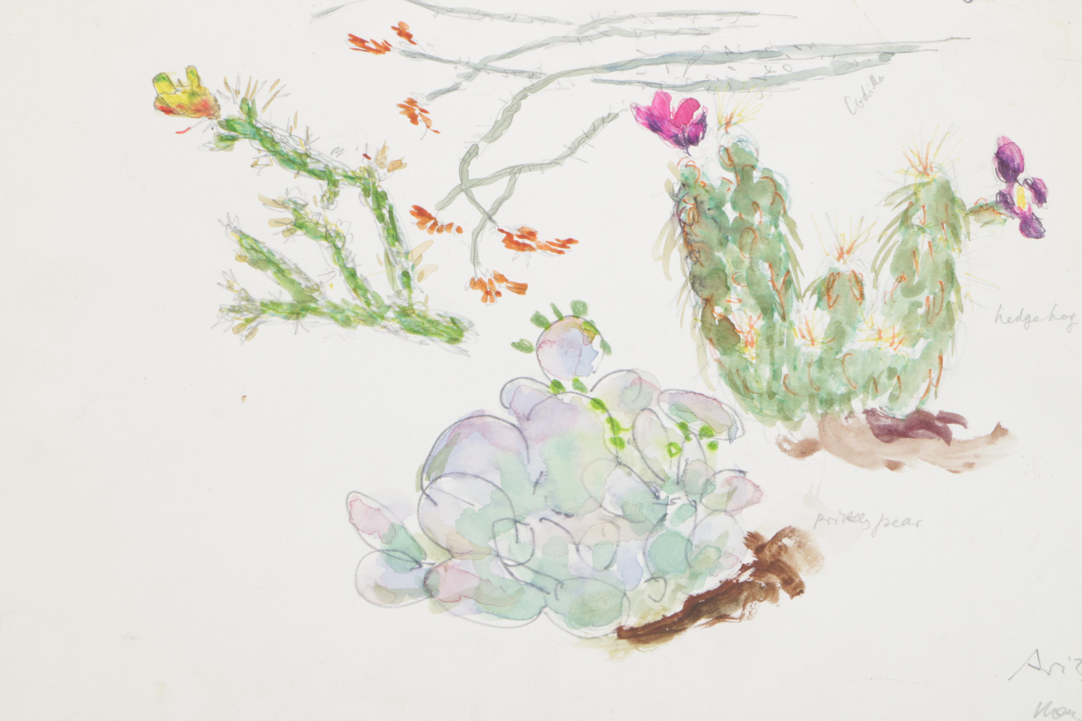 Unframed Watercolors Featuring Dennis Lüken