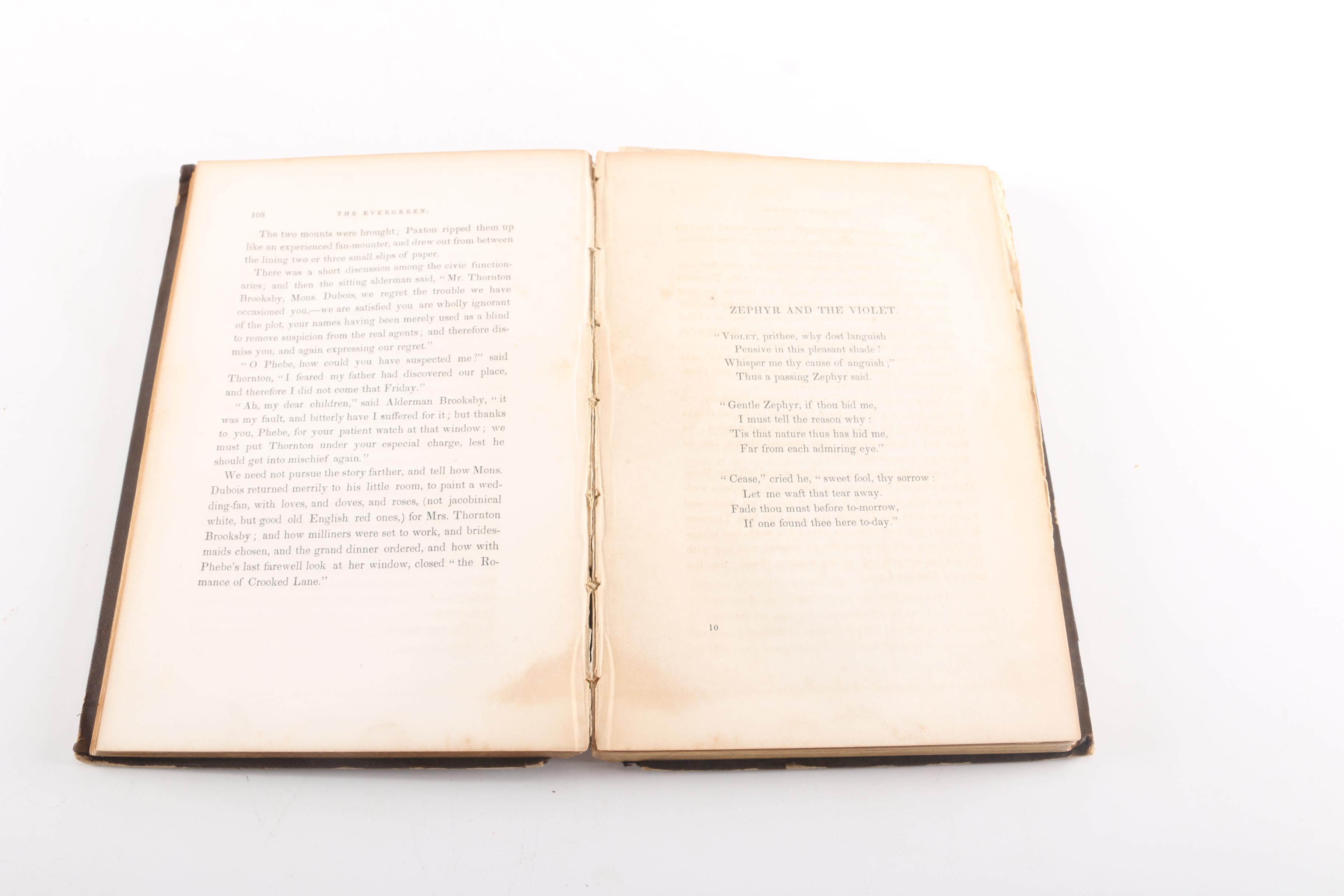 "The Mystic Bell" by J. Edward and "The Evergreen"