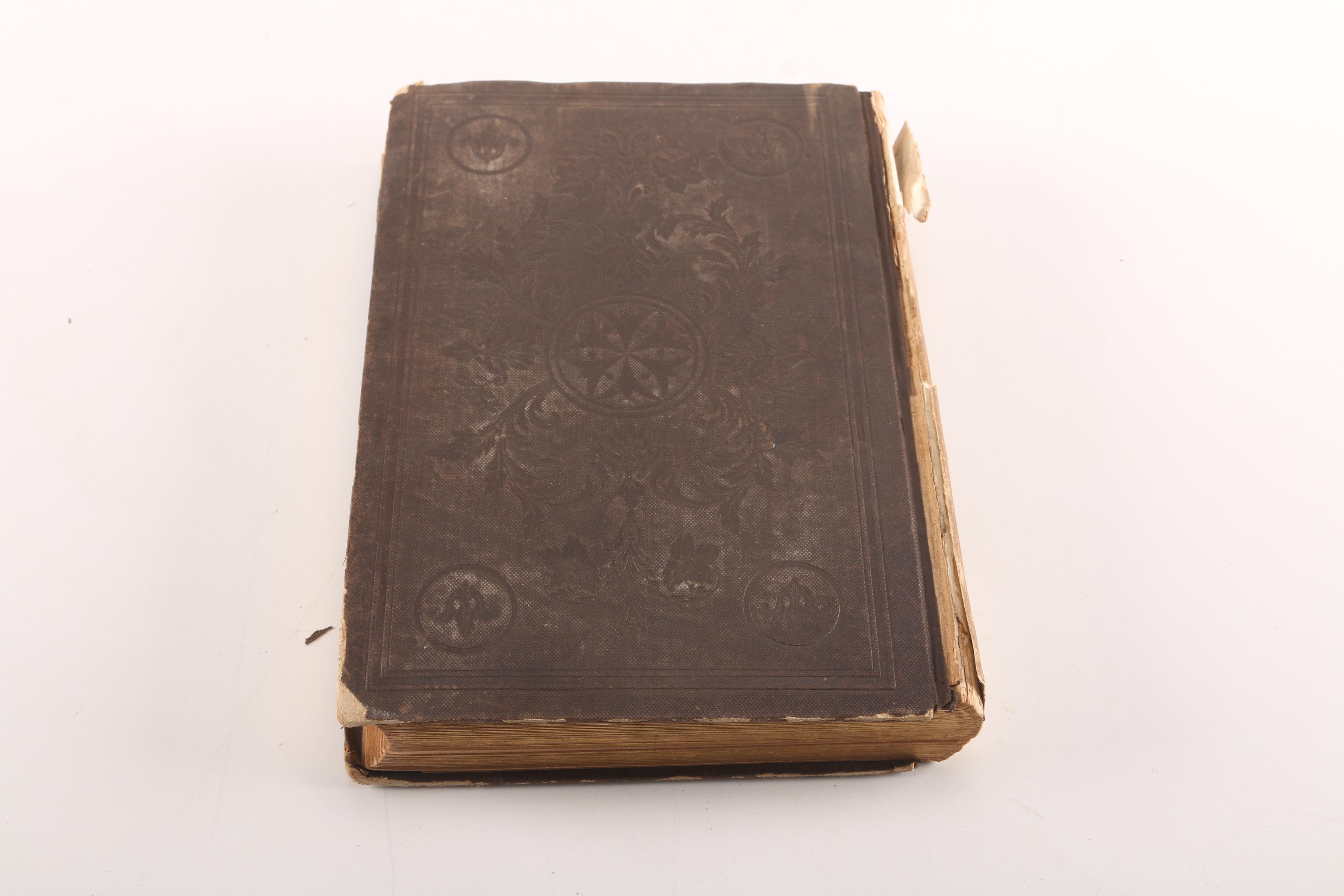 "The Mystic Bell" by J. Edward and "The Evergreen"