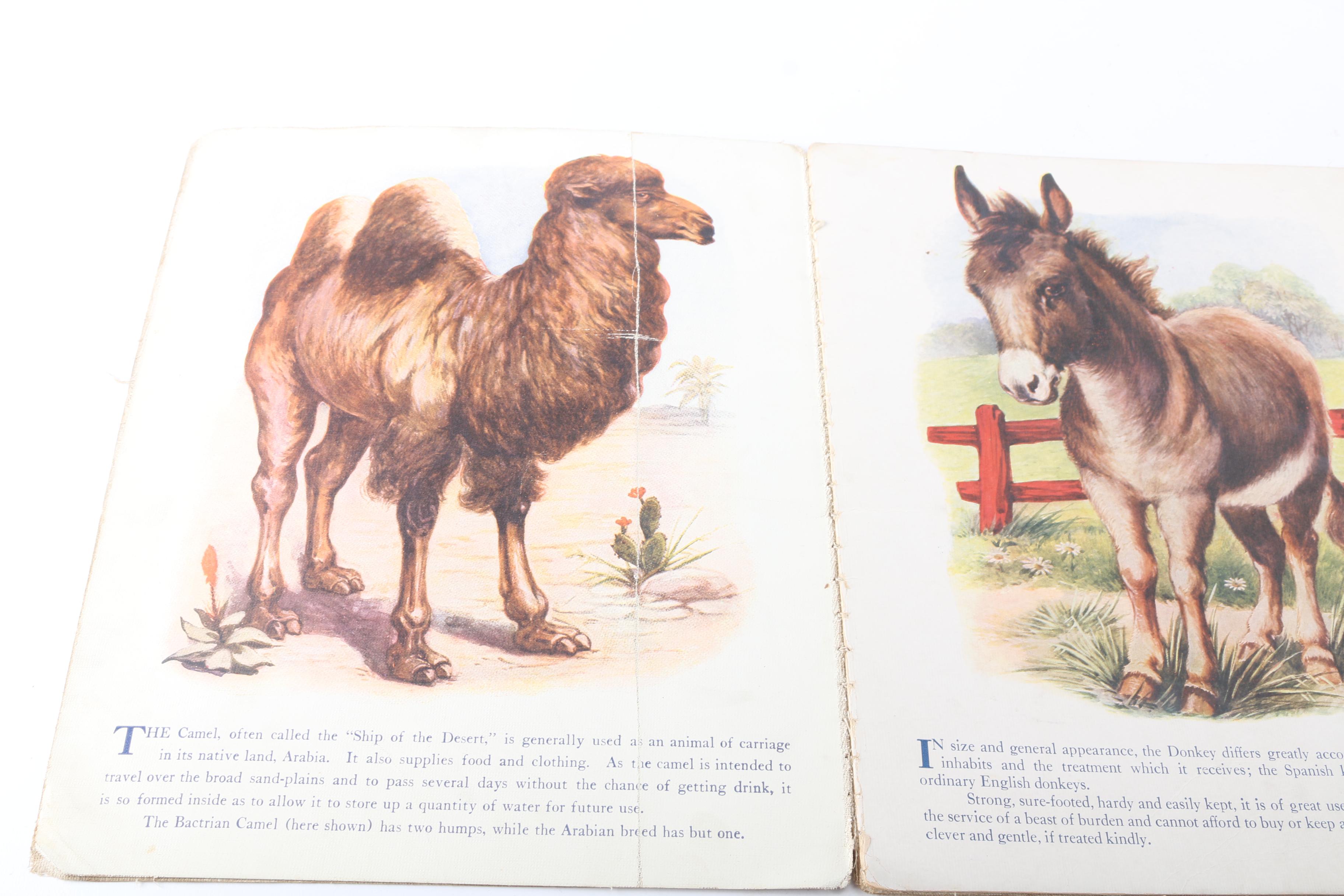 Early 20th Century Linen Children's Books