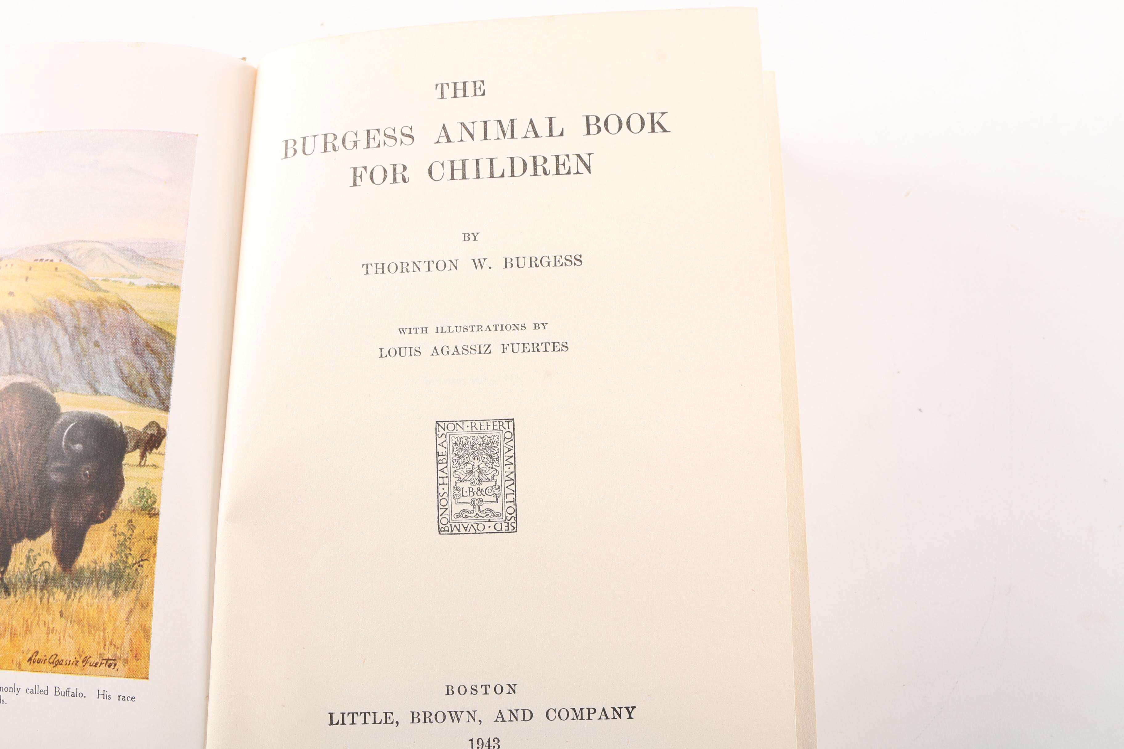 Children's Fairy Tales and Fables