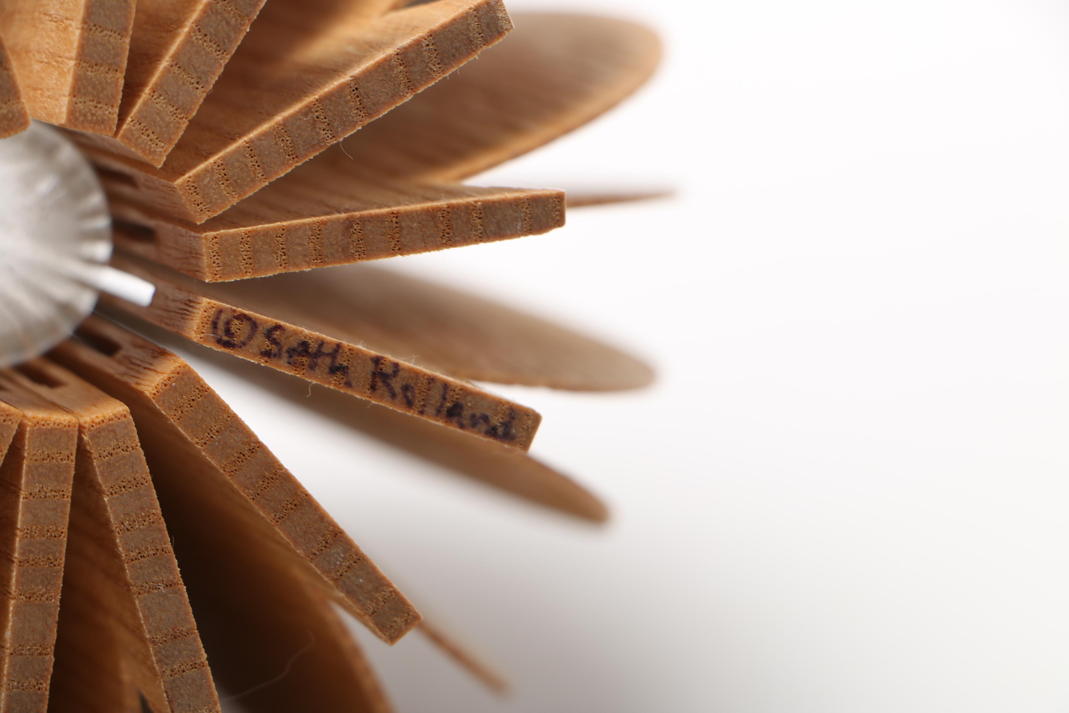 Seth Rolland Abstract Wooden Vase