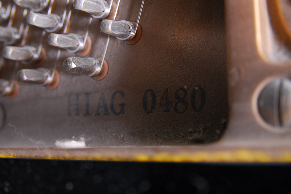 Otto Altenburg Baby Grand Piano