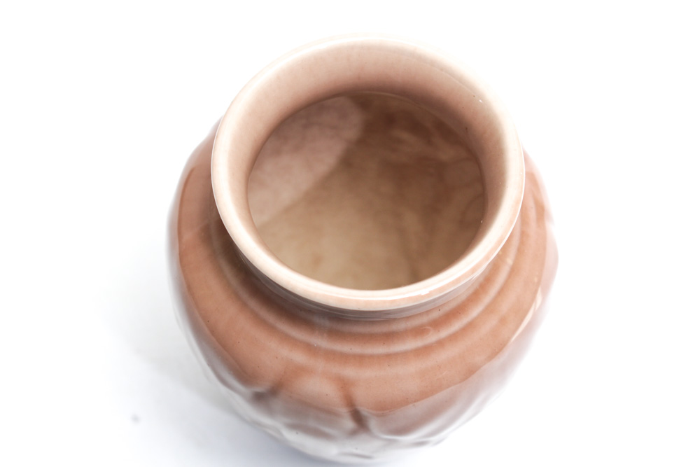 Rookwood Pottery Lotus Moth Vase