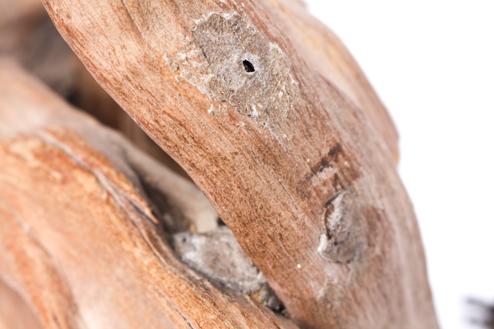 Driftwood Lamp