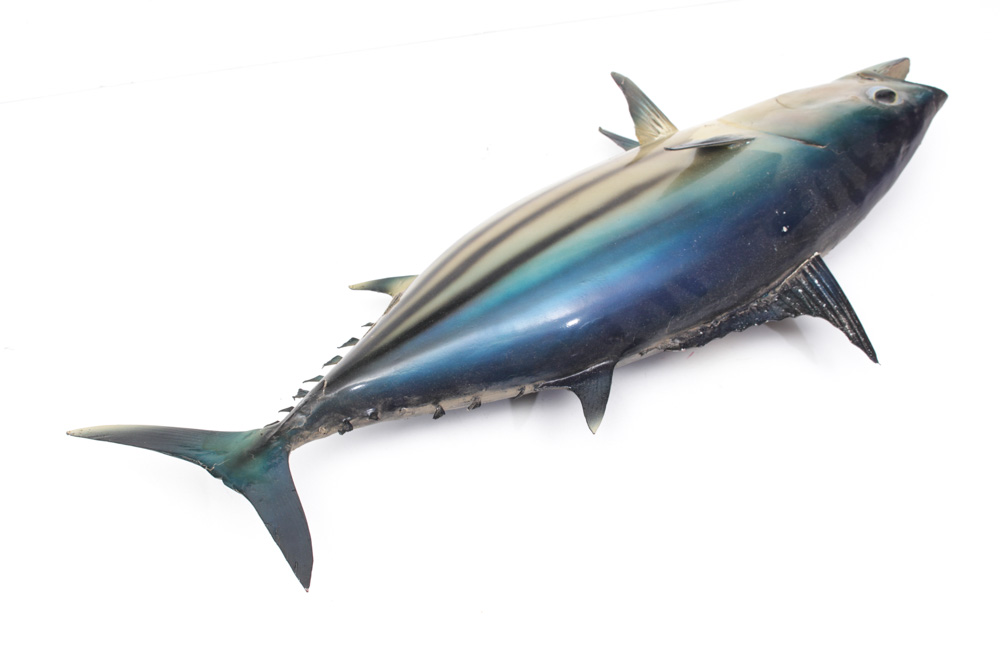 Taxidermied Arctic Bonito