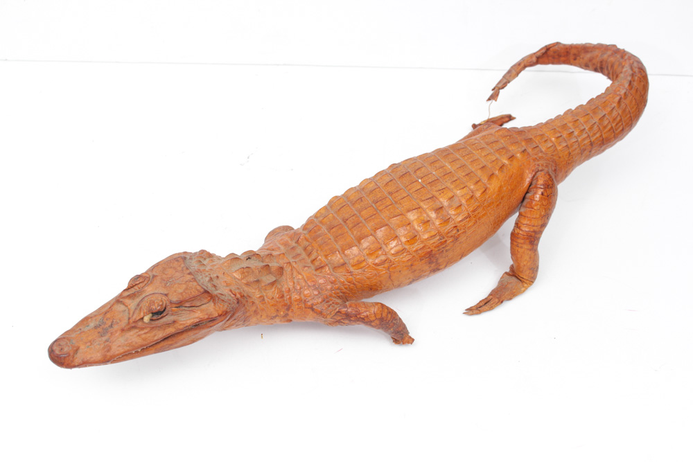 Vintage Taxidermy Alligator