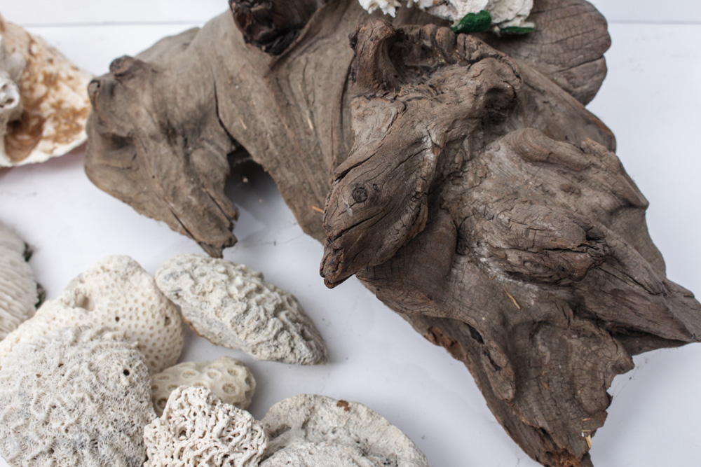 Sea Specimen Selection