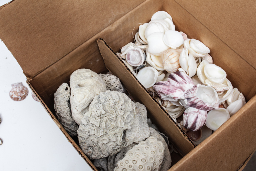 Sea Specimen Selection