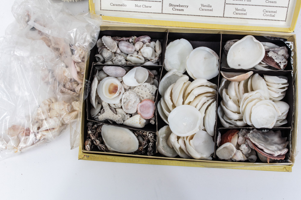 Sea Specimen Selection