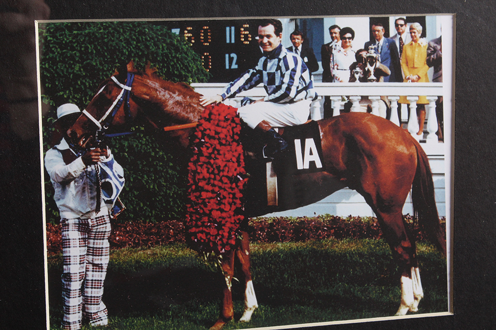 Photograph of Secretariat with Hair Strands