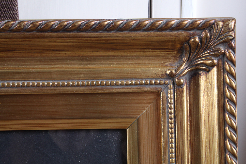 Photograph of Secretariat with Hair Strands