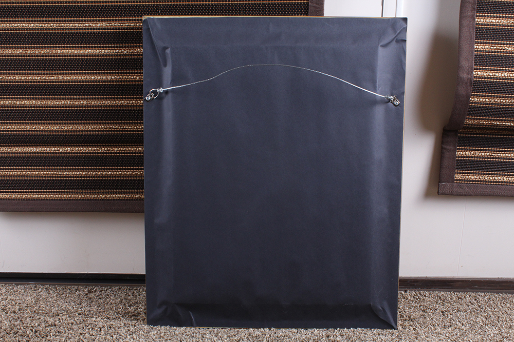 Photograph of Secretariat with Hair Strands