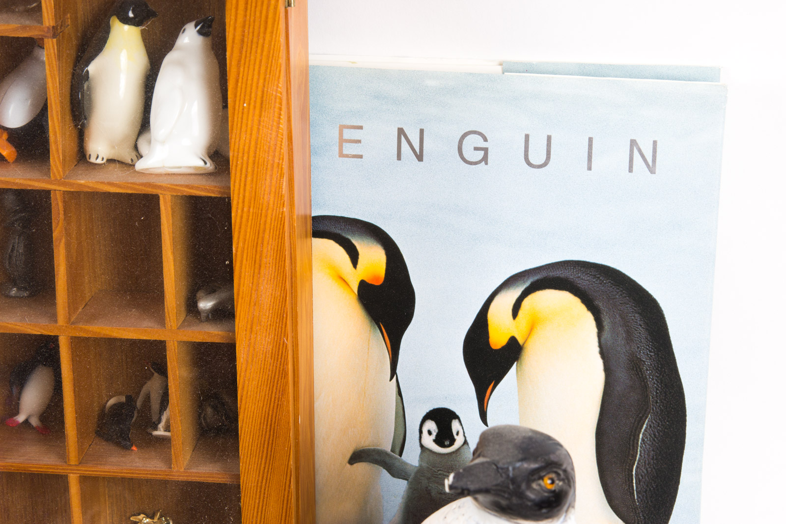 Penguin Themed Home Decor and Literature Assortment