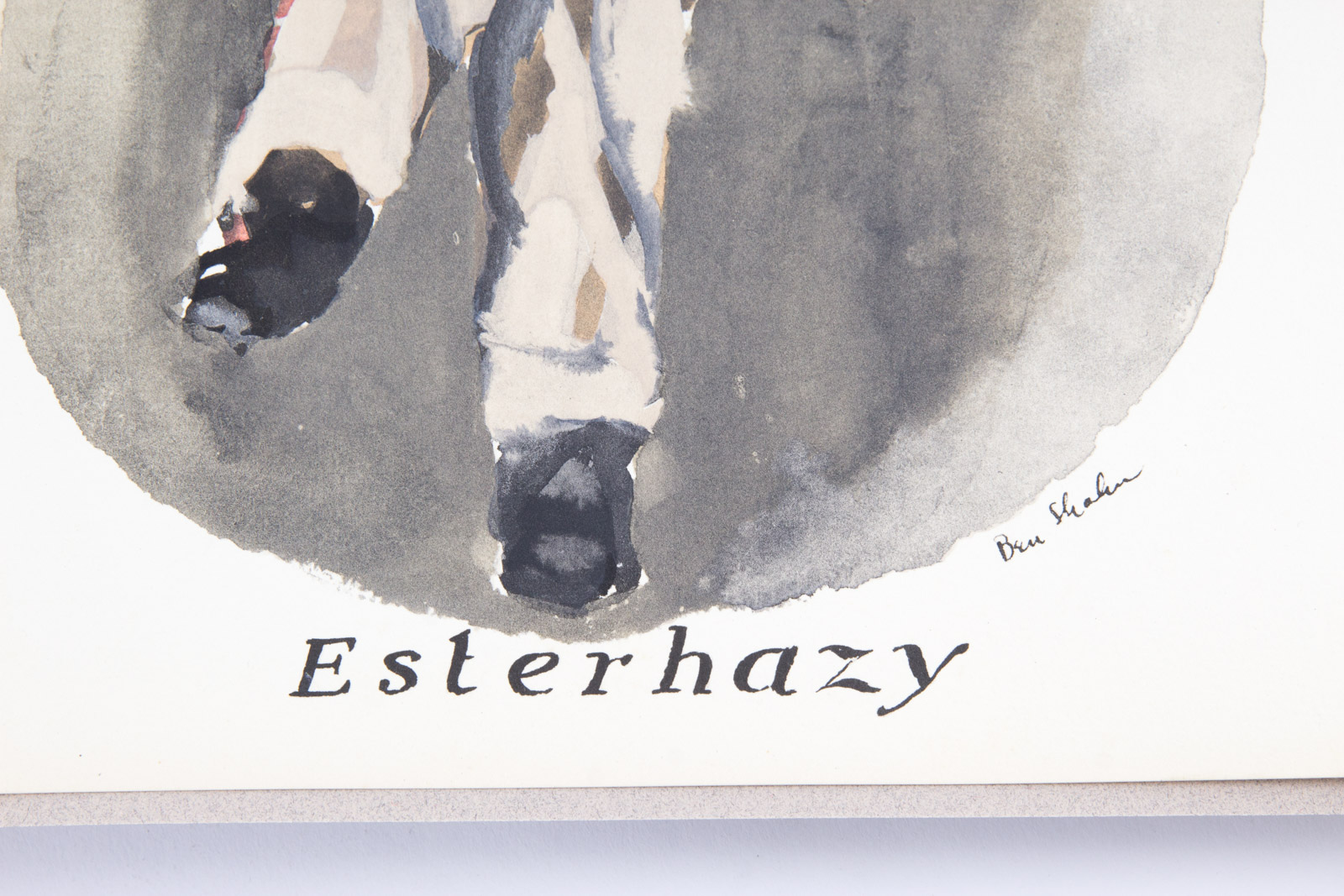 1984 "The Dreyfus Affair: The Ben Shahn Prints" with Essays