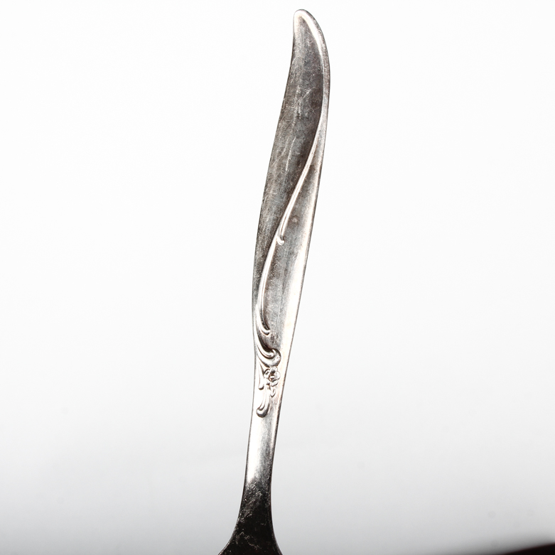 Rogers & Bros Plated Flatware with Gorham Flatware Box