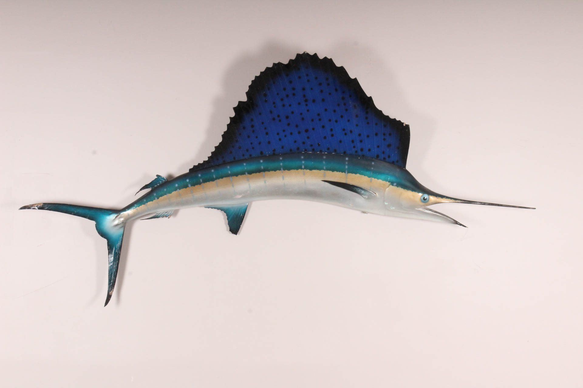 Sailfish Trophy Wall Mounted Fish Replica