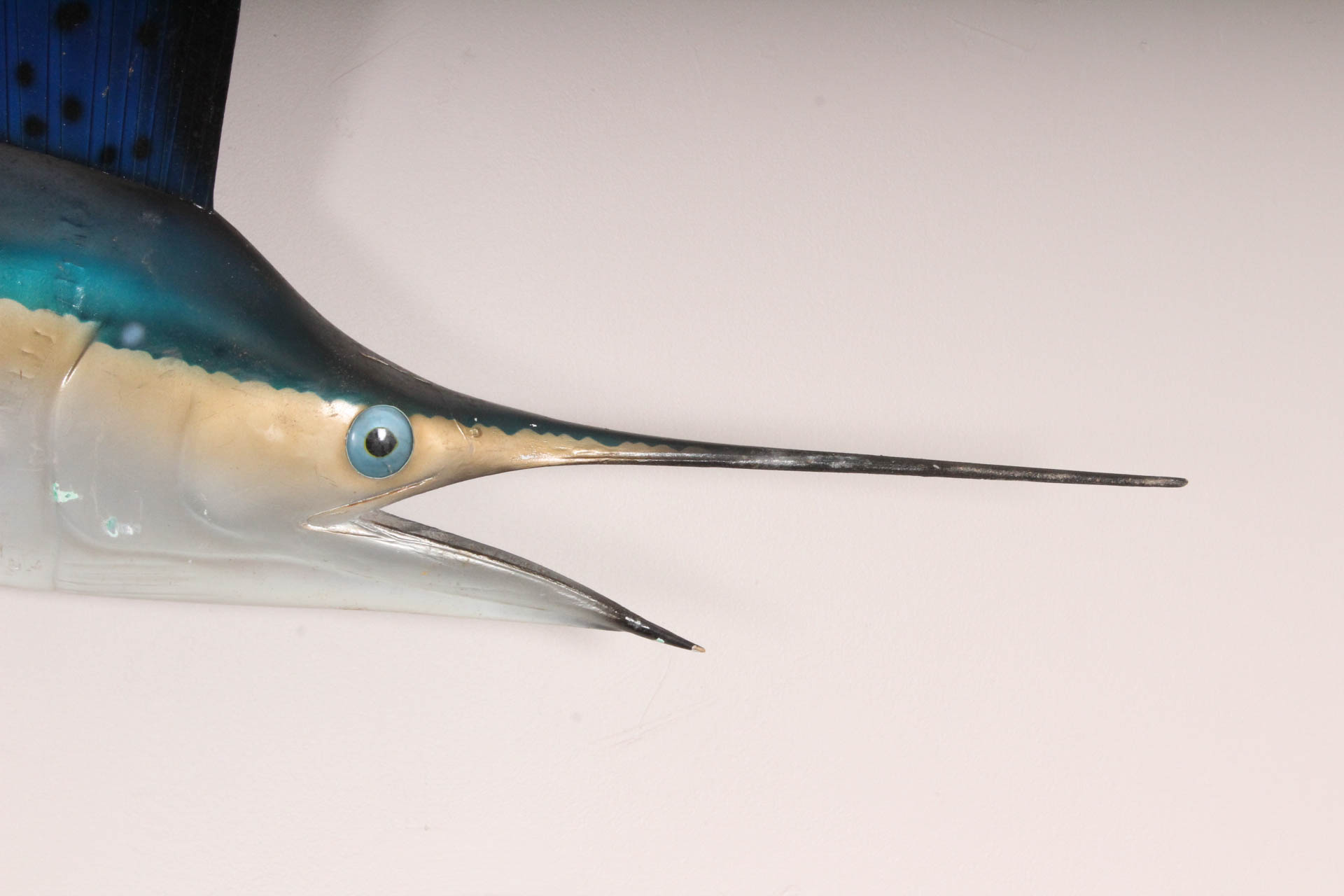 Sailfish Trophy Wall Mounted Fish Replica
