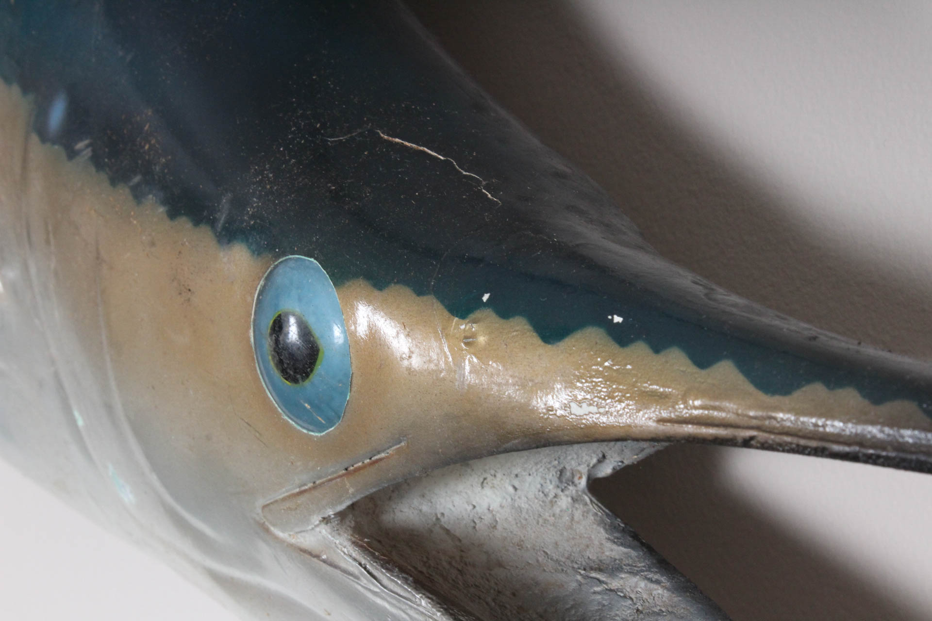 Sailfish Trophy Wall Mounted Fish Replica