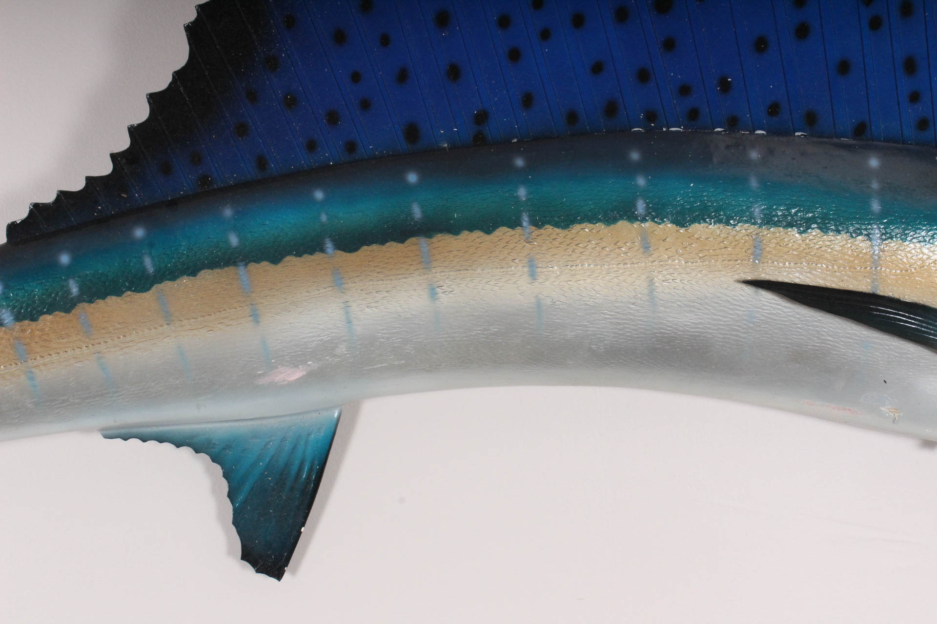 Sailfish Trophy Wall Mounted Fish Replica