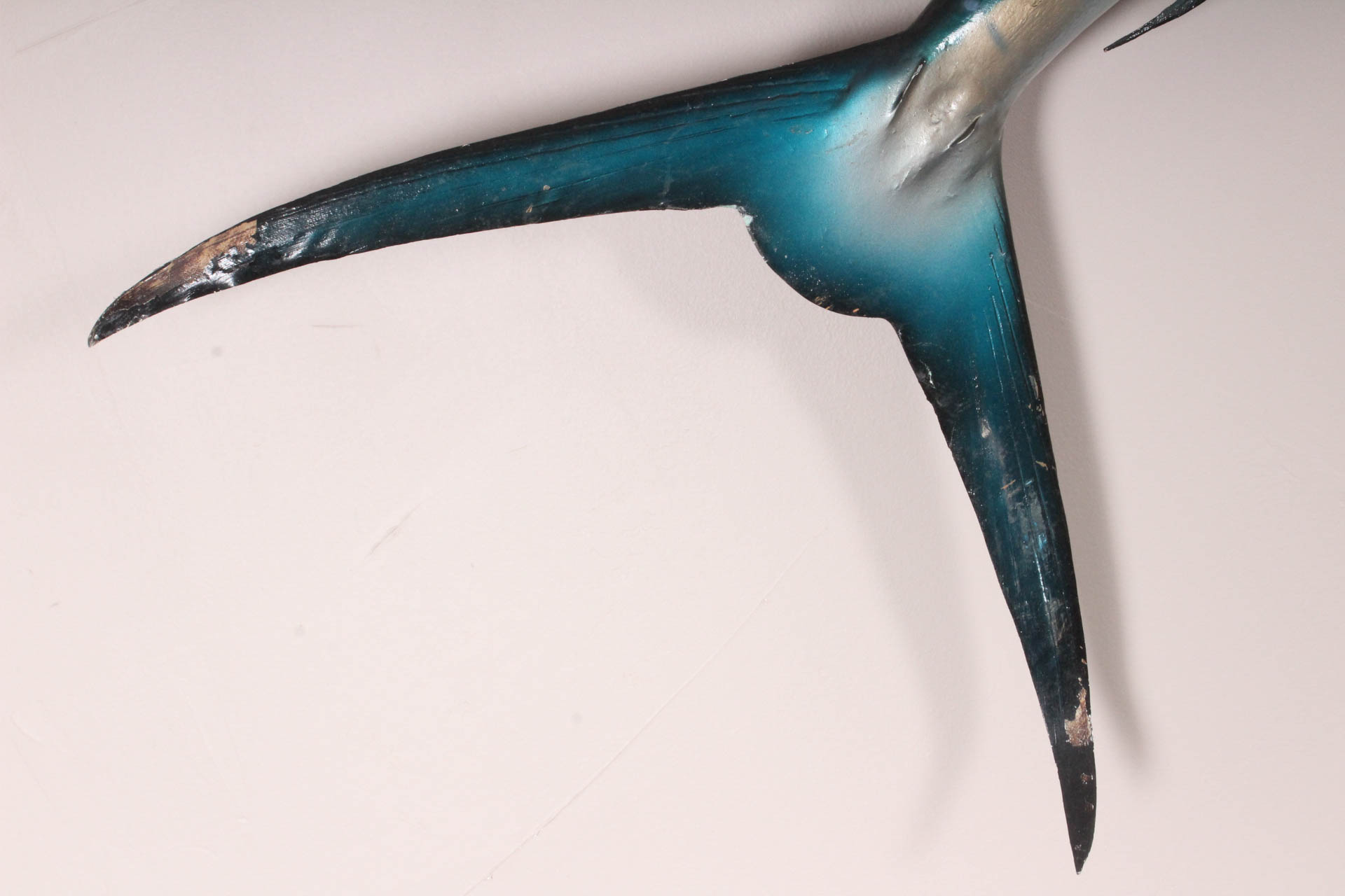 Sailfish Trophy Wall Mounted Fish Replica