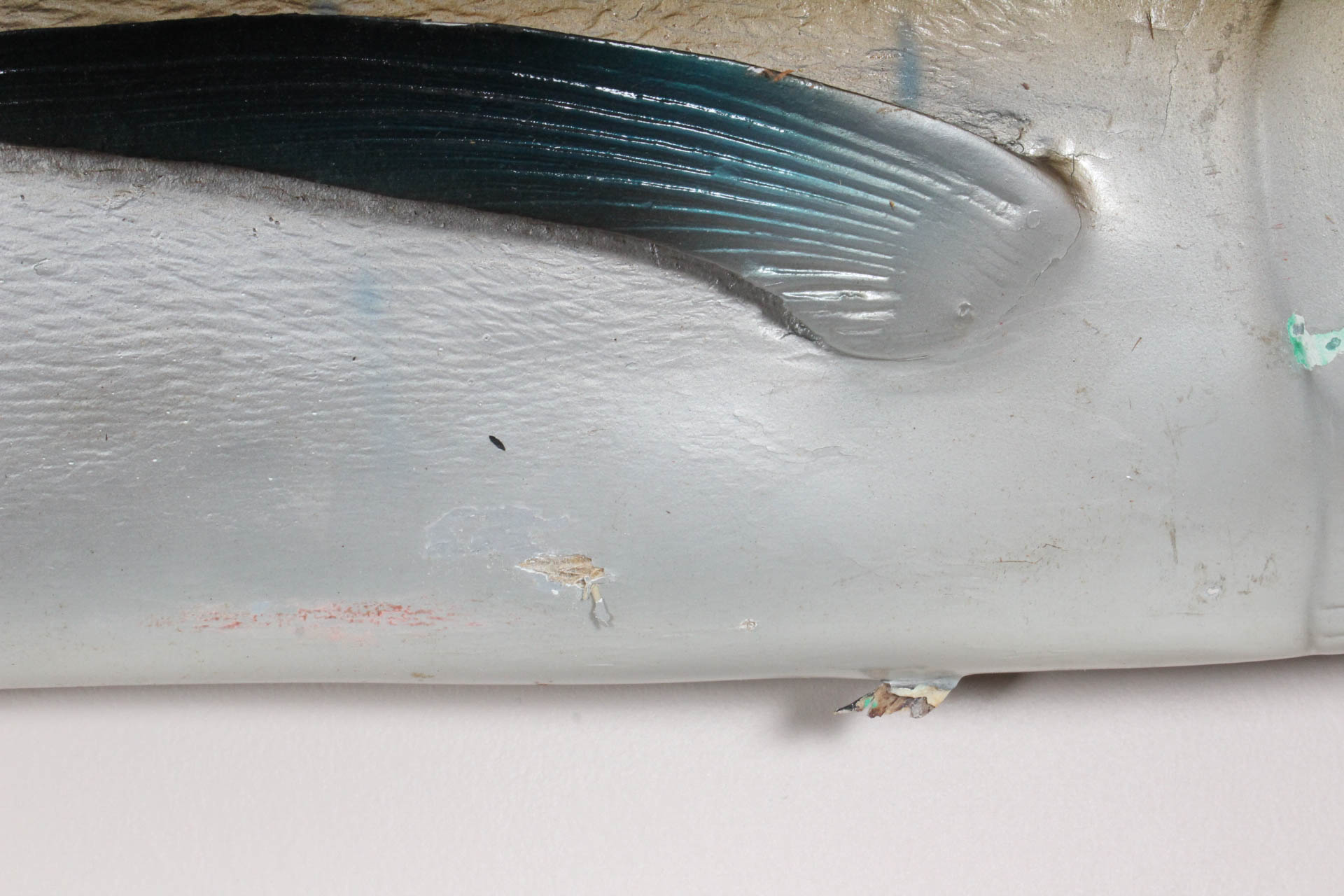 Sailfish Trophy Wall Mounted Fish Replica