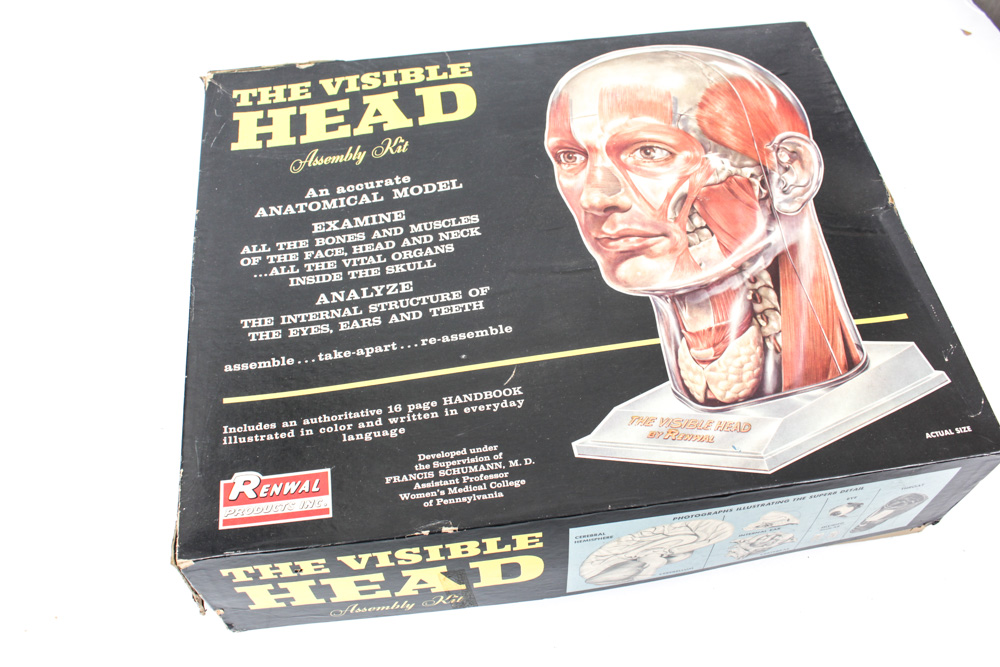 Educational Games Featuring "The Visible Head" and "Erector"