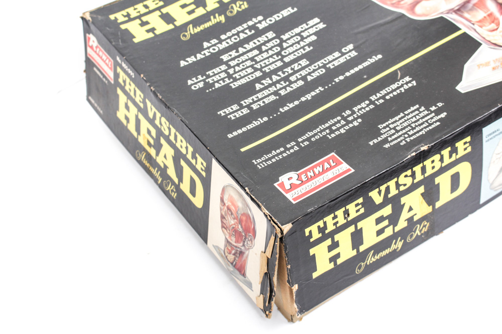 Educational Games Featuring "The Visible Head" and "Erector"