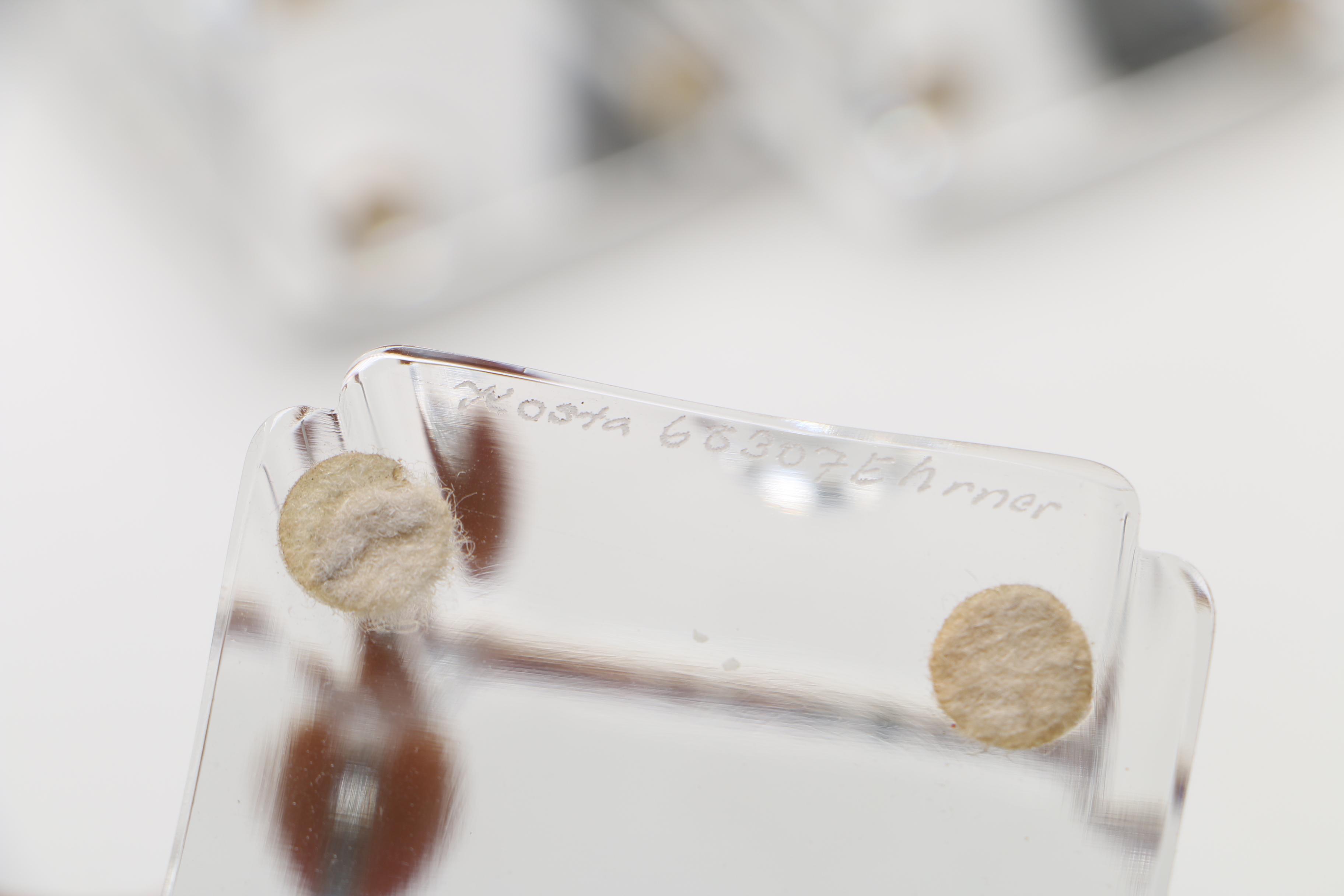 Kosta Candle Holders and Vase