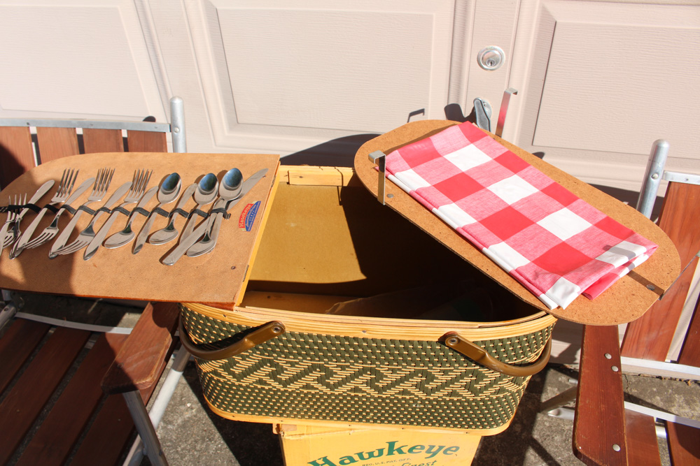 Retro Picnic With Hawkeye and Viking
