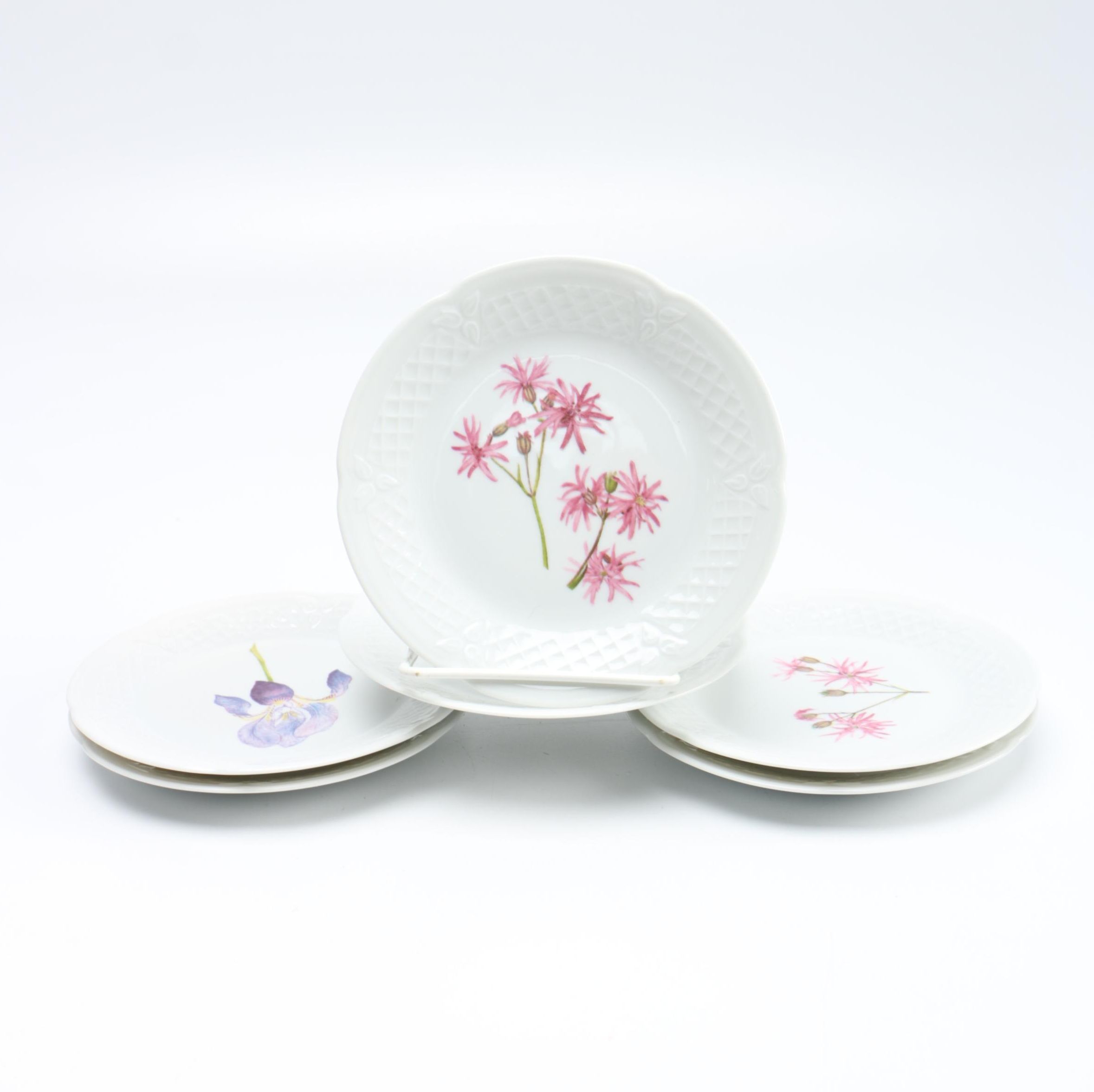 Floral Limoges Plate Set