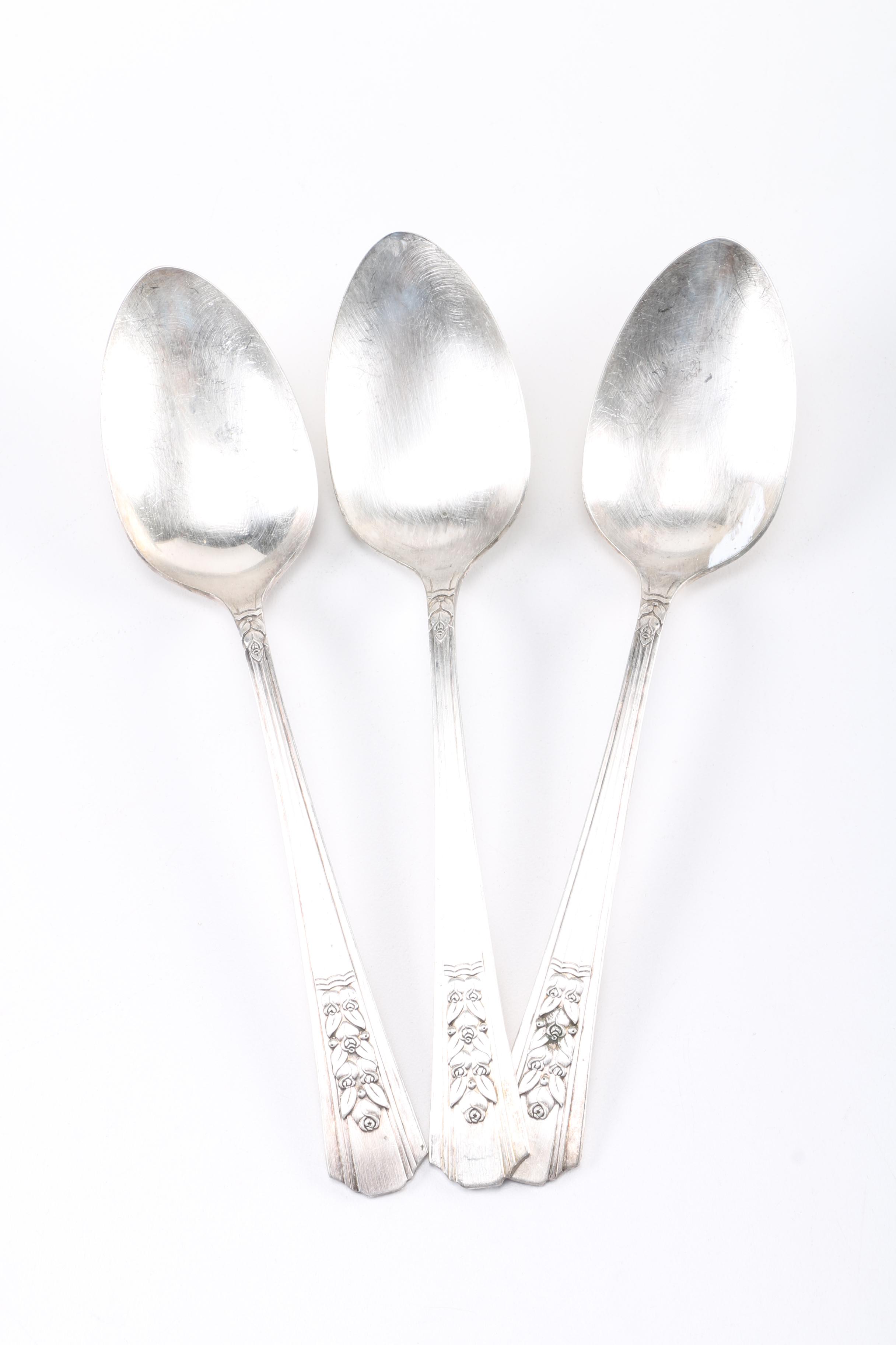 Plated Silver Flatware