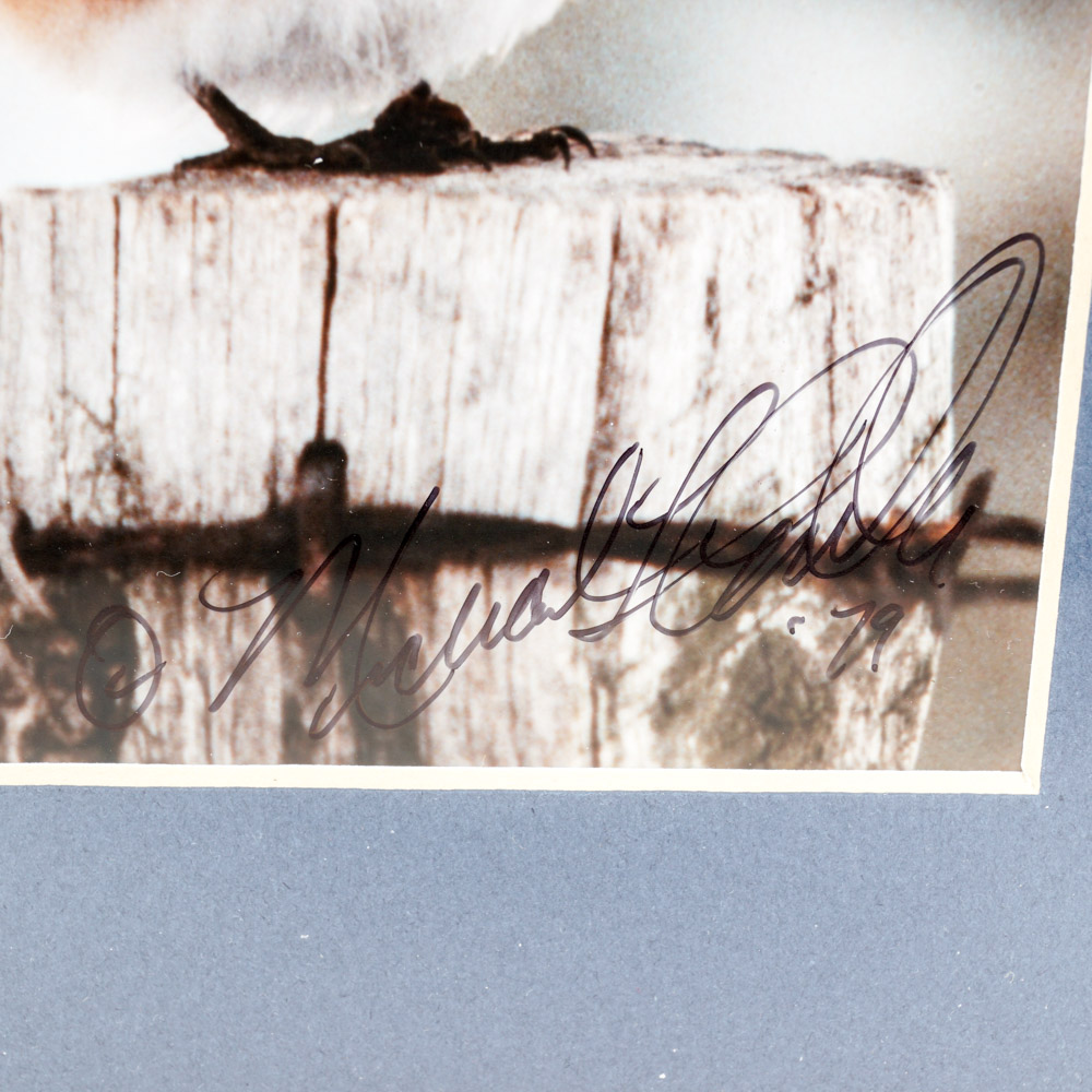 Michael L. Smith Photographic Print "Mad Bluebird"