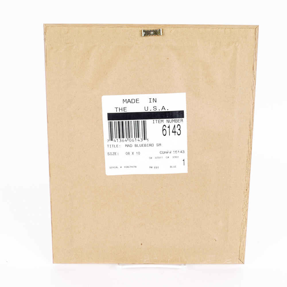 Michael L. Smith Photographic Print "Mad Bluebird"