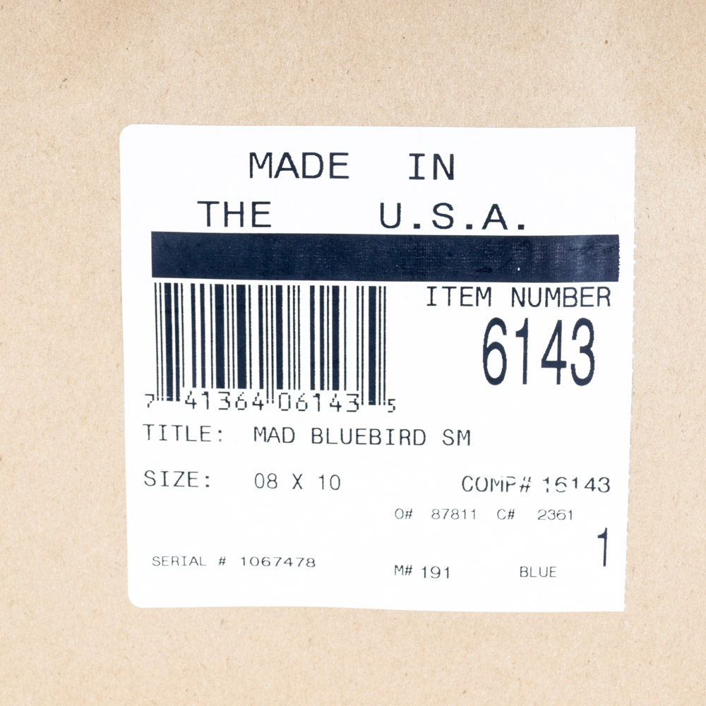 Michael L. Smith Photographic Print "Mad Bluebird"