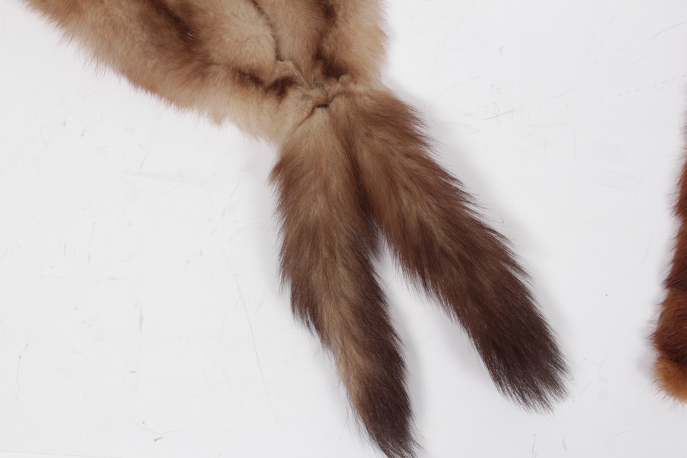 Fur Hat by G. Howard Hodge With Fur Collars