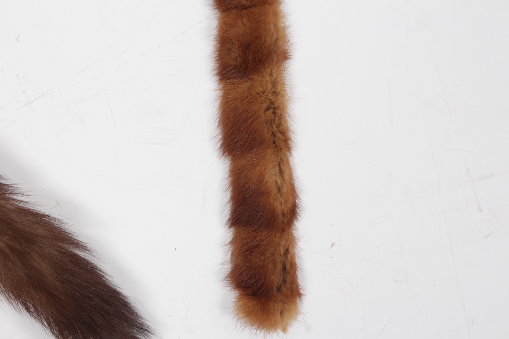 Fur Hat by G. Howard Hodge With Fur Collars