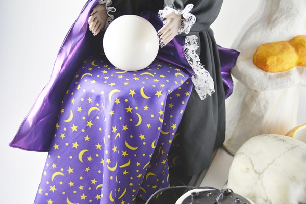 Halloween Decorations Motionette Fortune Teller, Skeleton Hands and Others